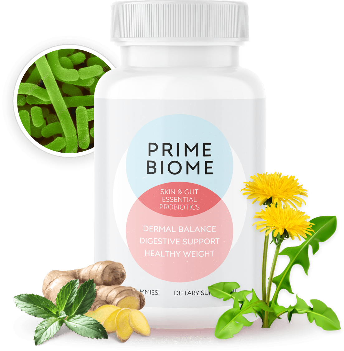 PrimeBiome